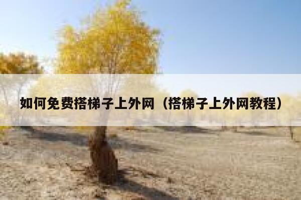 如何免费搭梯子上外网（搭梯子上外网教程） 第1张