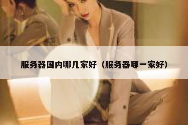 服务器国内哪几家好（服务器哪一家好） 第1张