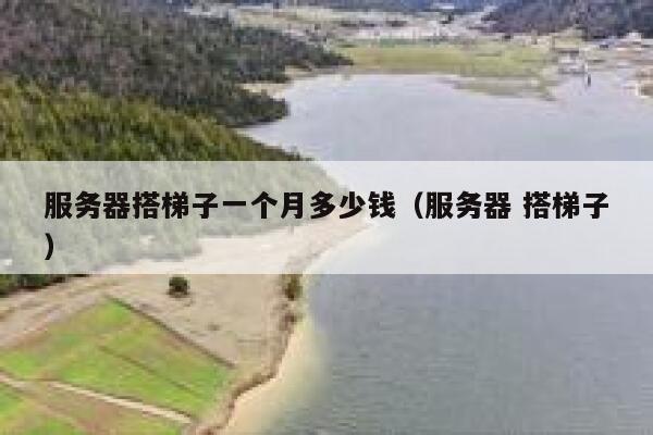 服务器搭梯子一个月多少钱（服务器 搭梯子） 第1张