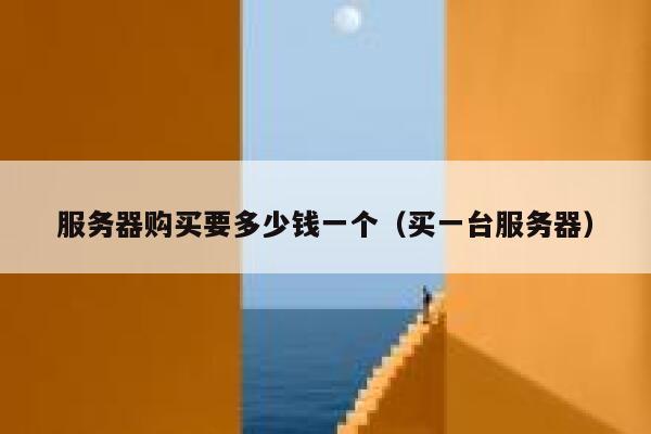 服务器购买要多少钱一个（买一台服务器） 第1张