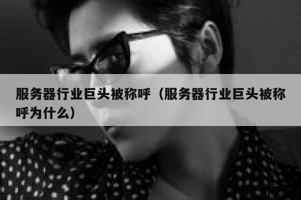 服务器行业巨头被称呼（服务器行业巨头被称呼为什么） 第1张