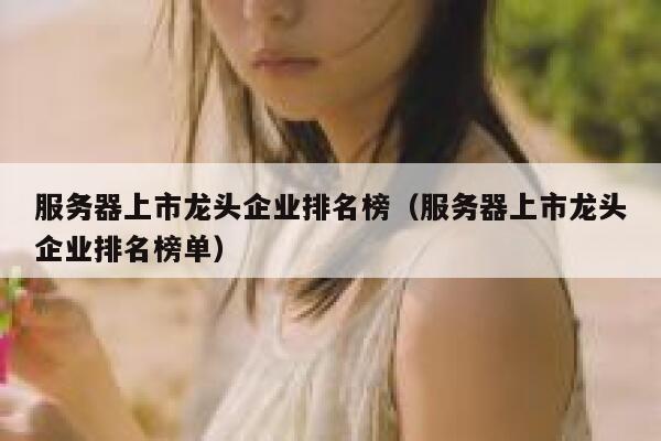 服务器上市龙头企业排名榜（服务器上市龙头企业排名榜单） 第1张