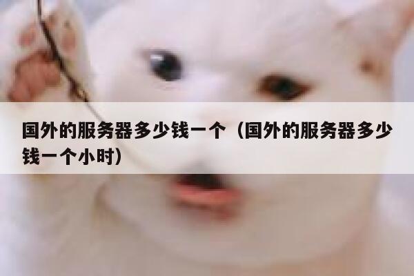 国外的服务器多少钱一个（国外的服务器多少钱一个小时） 第1张