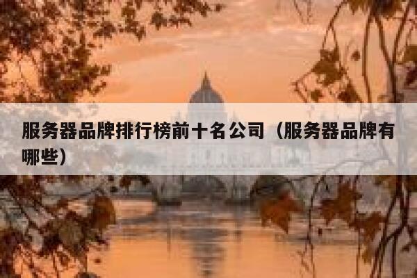 服务器品牌排行榜前十名公司（服务器品牌有哪些） 第1张