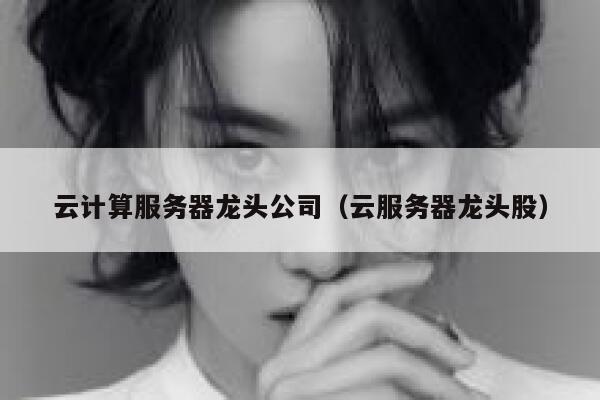 云计算服务器龙头公司（云服务器龙头股） 第1张