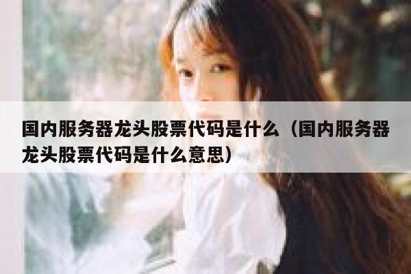 国内服务器龙头股票代码是什么（国内服务器龙头股票代码是什么意思） 第1张