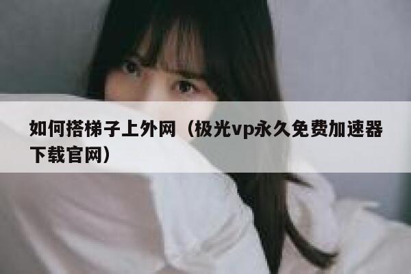 如何搭梯子上外网（极光vp永久免费加速器下载官网） 第1张