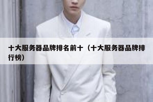 十大服务器品牌排名前十（十大服务器品牌排行榜） 第1张