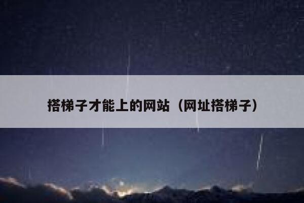 搭梯子才能上的网站（网址搭梯子） 第1张