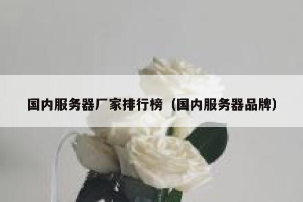 国内服务器厂家排行榜（国内服务器品牌） 第1张