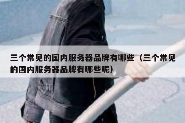 三个常见的国内服务器品牌有哪些（三个常见的国内服务器品牌有哪些呢） 第1张
