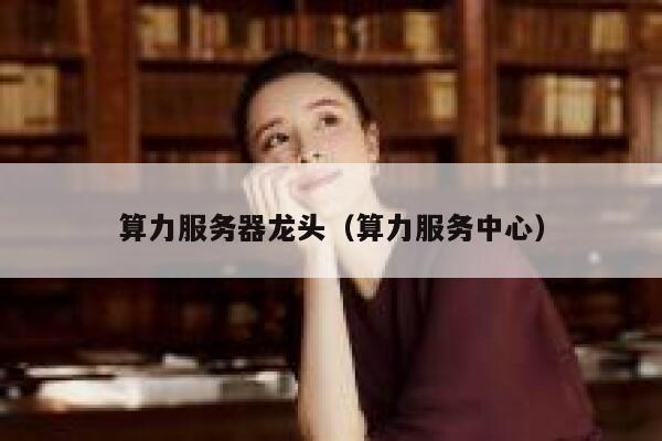 算力服务器龙头（算力服务中心） 第1张