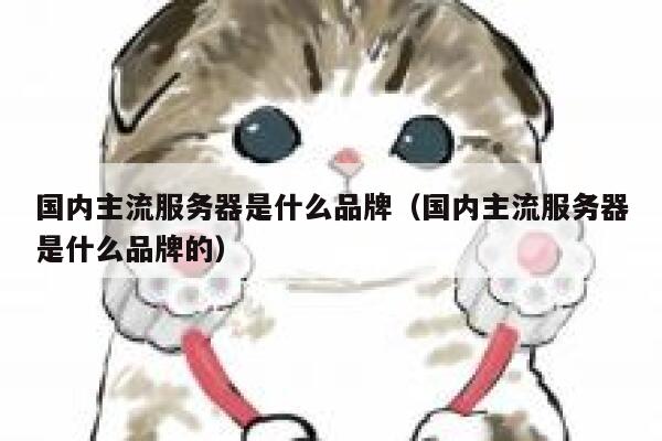 国内主流服务器是什么品牌（国内主流服务器是什么品牌的） 第1张