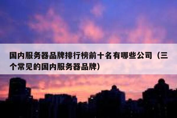 国内服务器品牌排行榜前十名有哪些公司（三个常见的国内服务器品牌） 第1张