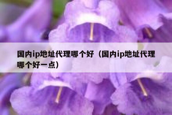 国内ip地址代理哪个好（国内ip地址代理哪个好一点） 第1张