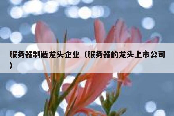 服务器制造龙头企业（服务器的龙头上市公司） 第1张
