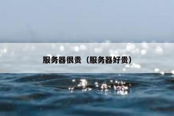 服务器很贵（服务器好贵） 第1张