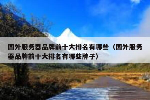 国外服务器品牌前十大排名有哪些（国外服务器品牌前十大排名有哪些牌子） 第1张
