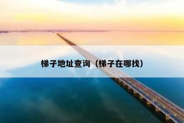 梯子地址查询（梯子在哪找） 第1张