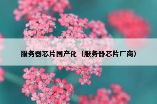 服务器芯片国产化（服务器芯片厂商） 第1张