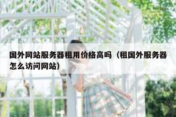 国外网站服务器租用价格高吗（租国外服务器怎么访问网站） 第1张