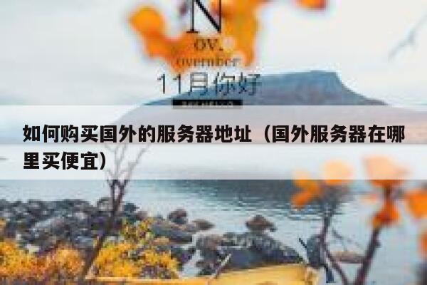 如何购买国外的服务器地址（国外服务器在哪里买便宜） 第1张