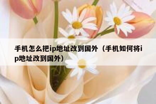 手机怎么把ip地址改到国外（手机如何将ip地址改到国外） 第1张
