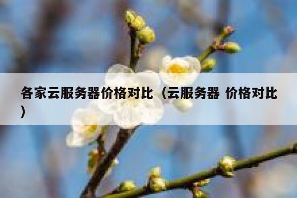各家云服务器价格对比（云服务器 价格对比） 第1张
