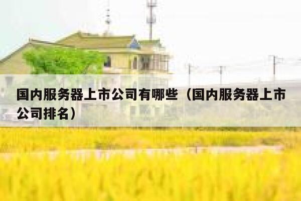 国内服务器上市公司有哪些（国内服务器上市公司排名） 第1张