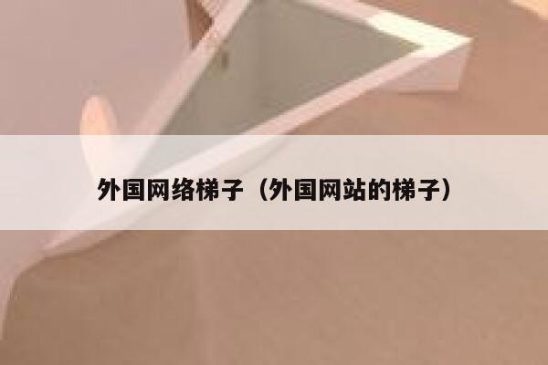 外国网络梯子（外国网站的梯子） 第1张