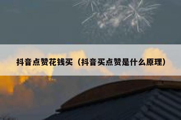 抖音点赞花钱买（抖音买点赞是什么原理） 第1张