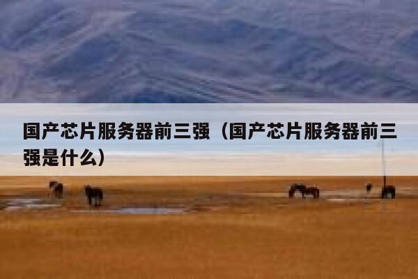 国产芯片服务器前三强（国产芯片服务器前三强是什么） 第1张