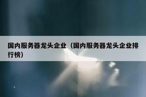 国内服务器龙头企业（国内服务器龙头企业排行榜） 第1张