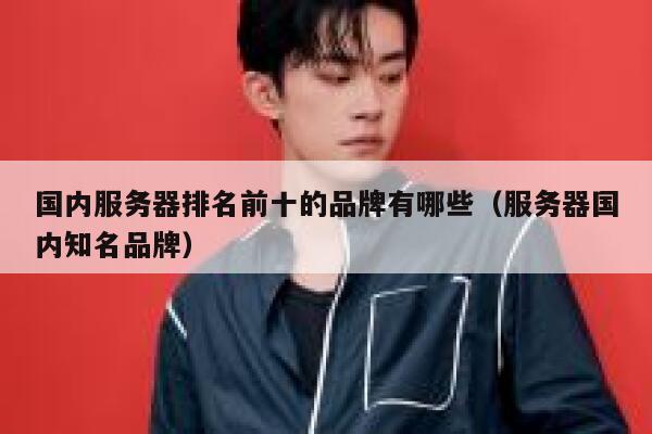 国内服务器排名前十的品牌有哪些（服务器国内知名品牌） 第1张