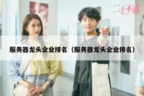 服务器龙头企业排名（服务器龙头企业排名） 第1张