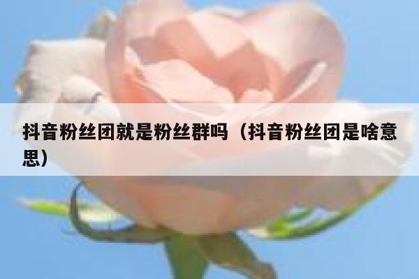 抖音粉丝团就是粉丝群吗（抖音粉丝团是啥意思） 第1张