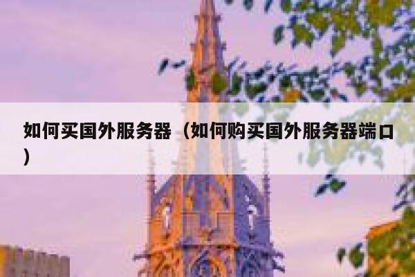 如何买国外服务器（如何购买国外服务器端口） 第1张