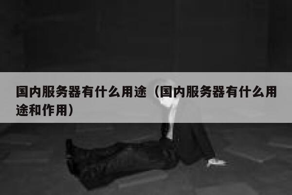 国内服务器有什么用途（国内服务器有什么用途和作用） 第1张