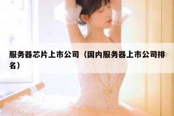 服务器芯片上市公司（国内服务器上市公司排名） 第1张