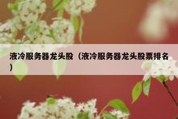 液冷服务器龙头股（液冷服务器龙头股票排名） 第1张