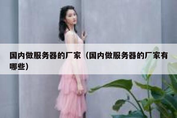 国内做服务器的厂家（国内做服务器的厂家有哪些） 第1张