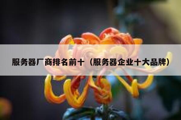 服务器厂商排名前十（服务器企业十大品牌） 第1张