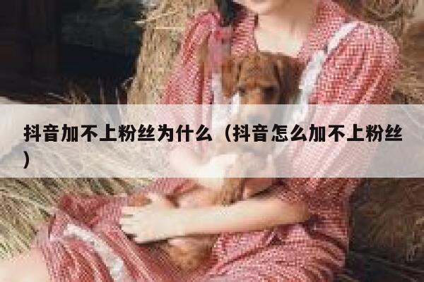 抖音加不上粉丝为什么（抖音怎么加不上粉丝） 第1张