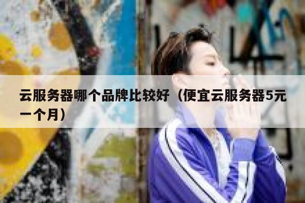 云服务器哪个品牌比较好（便宜云服务器5元一个月） 第1张