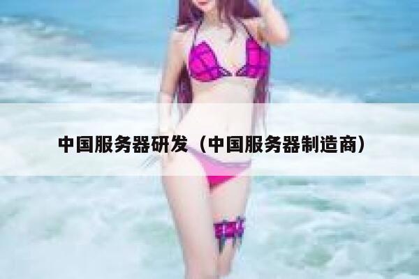 中国服务器研发（中国服务器制造商） 第1张