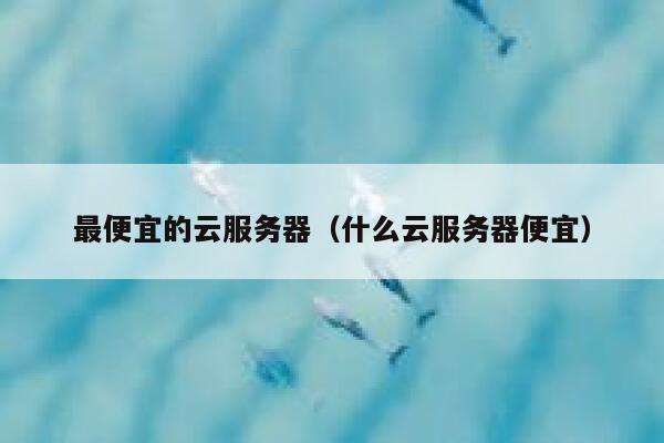 最便宜的云服务器（什么云服务器便宜） 第1张