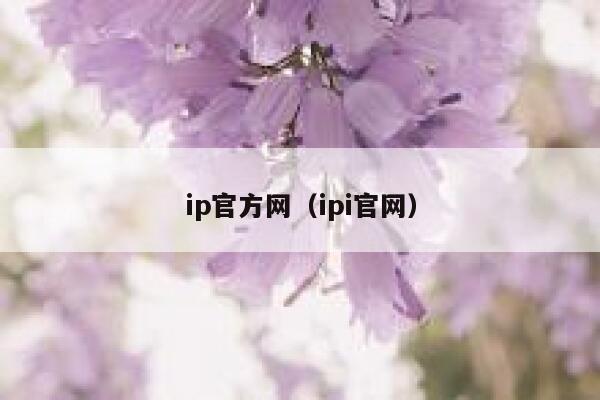 ip官方网（ipi官网） 第1张