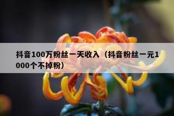 抖音100万粉丝一天收入（抖音粉丝一元1000个不掉粉） 第1张
