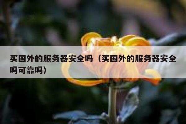 买国外的服务器安全吗（买国外的服务器安全吗可靠吗） 第1张