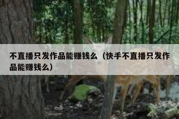 不直播只发作品能赚钱么（快手不直播只发作品能赚钱么） 第1张